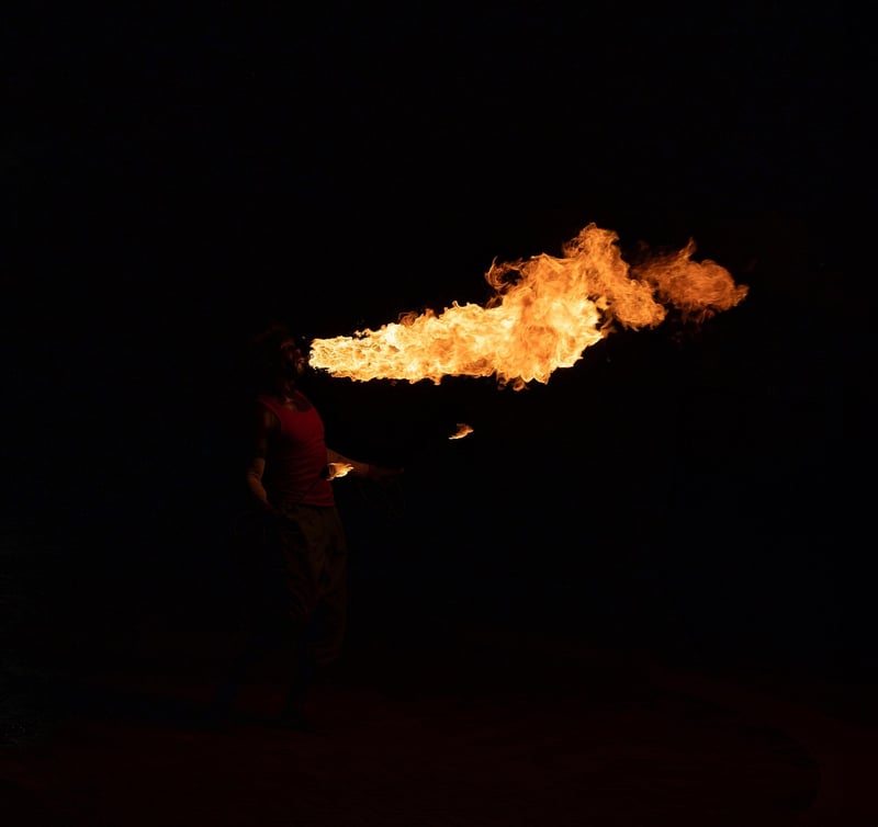 Fire Performance